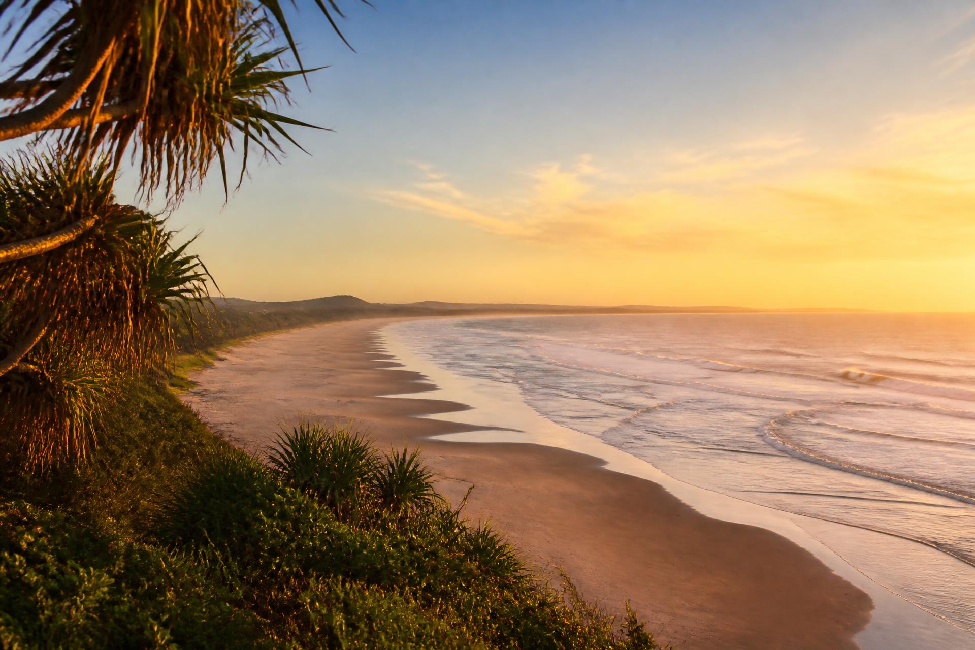 Lennox Head Seven Mile Beach from the headland at warm dusk, pandanus in foreground